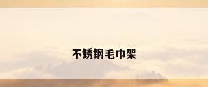 不锈钢毛巾架