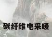 碳纤维电采暖