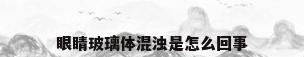 眼睛玻璃体混浊是怎么回事