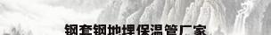 钢套钢地埋保温管厂家