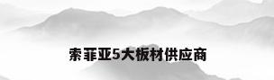 索菲亚5大板材供应商