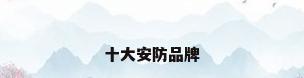 十大安防品牌