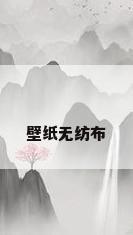 壁纸无纺布