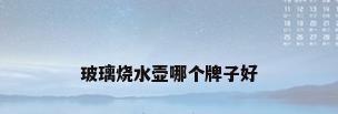 玻璃烧水壶哪个牌子好