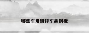 哪些车用镀锌车身钢板