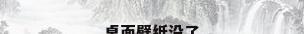桌面壁纸没了