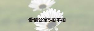 爱情公寓5拍不拍