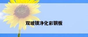 双玻镁净化彩钢板