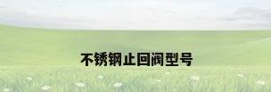 不锈钢止回阀型号