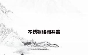 不锈钢格栅井盖