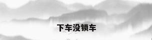 下车没锁车