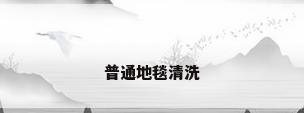 普通地毯清洗