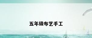 五年级布艺手工