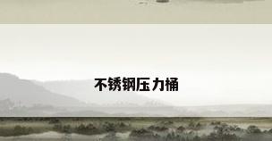 不锈钢压力桶