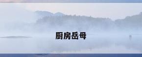 厨房岳母
