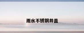 雨水不锈钢井盖