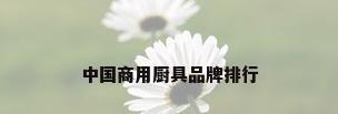 中国商用厨具品牌排行