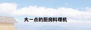 大一点的厨房料理机