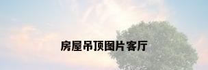 房屋吊顶图片客厅