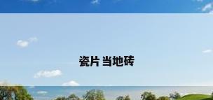 瓷片当地砖