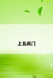 上五阀门