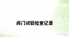 阀门试验检查记录