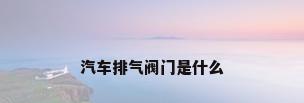 汽车排气阀门是什么
