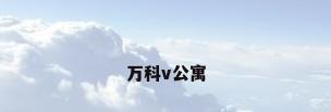 万科v公寓