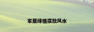 家居绿植摆放风水