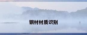 钢材材质识别