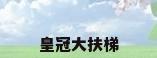 皇冠大扶梯