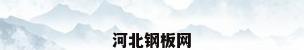 河北钢板网