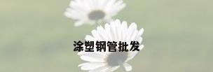 涂塑钢管批发