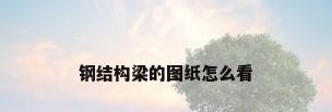 钢结构梁的图纸怎么看