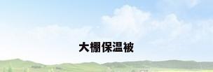 大棚保温被