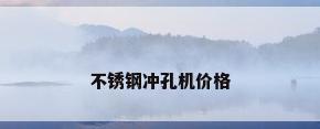 不锈钢冲孔机价格