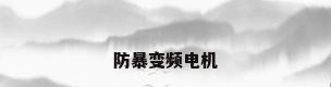 防暴变频电机