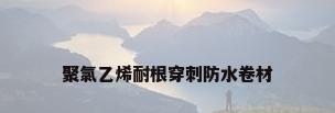 聚氯乙烯耐根穿刺防水卷材