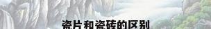 瓷片和瓷砖的区别