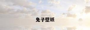 兔子壁纸