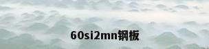 60si2mn钢板