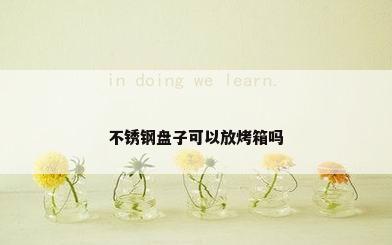 不锈钢盘子可以放烤箱吗