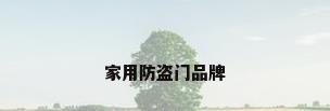 家用防盗门品牌