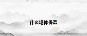 什么墙体保温