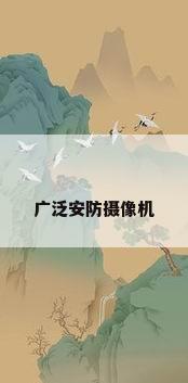 广泛安防摄像机