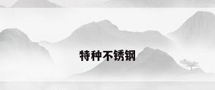 特种不锈钢