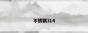 不锈钢314