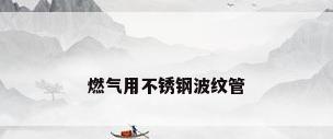 燃气用不锈钢波纹管