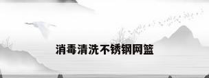 消毒清洗不锈钢网篮