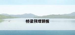 桥梁预埋钢板